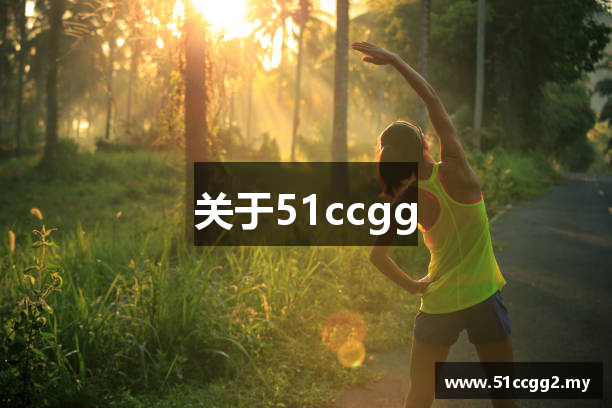 关于51ccgg